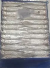 Chelapata Fish 500g